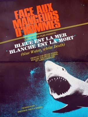 BLEUE EST LA MER, BLANCHE EST LA MORT Affiche du film de 1971 - Peter Gimbel James Lipscomb 60X80 CM